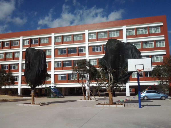 云南盛翔----------新建嵩华学校工程
