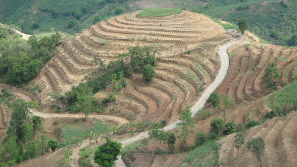 红河州元阳县南沙镇石头寨村土地整治（补充耕地）项目