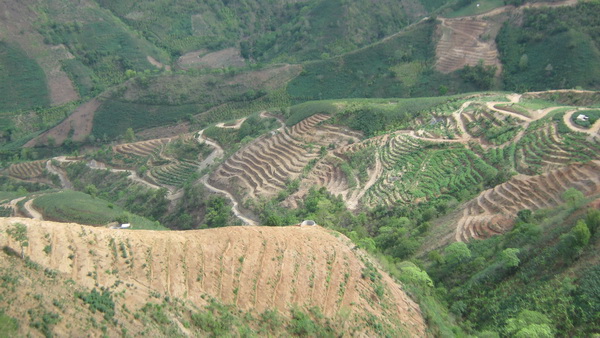 红河州元阳县南沙镇石头寨村土地整治（补充耕地）项目