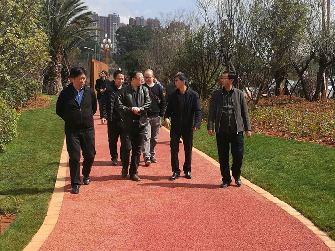 宁湖新城管委会王副主任组织相关领导到我司监理的安宁市宁湖公园及宁湖湿地公园视察