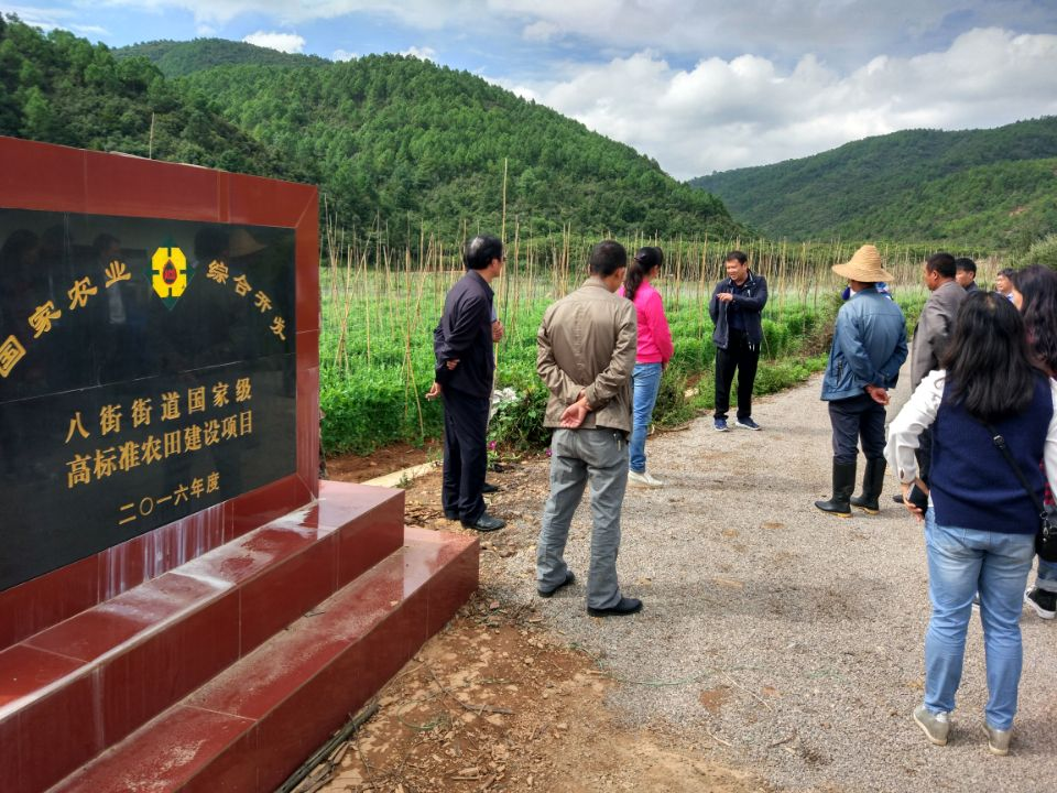 2016年国家农业综合开发土地治理安宁市八街街道办事处、金方街道办事处高标准农田建设项目工程项目竣工验收