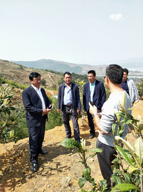 汤郎乡人大主席张宁同志带领典文村两委同志到云南润益农业开发有限公司参观学习