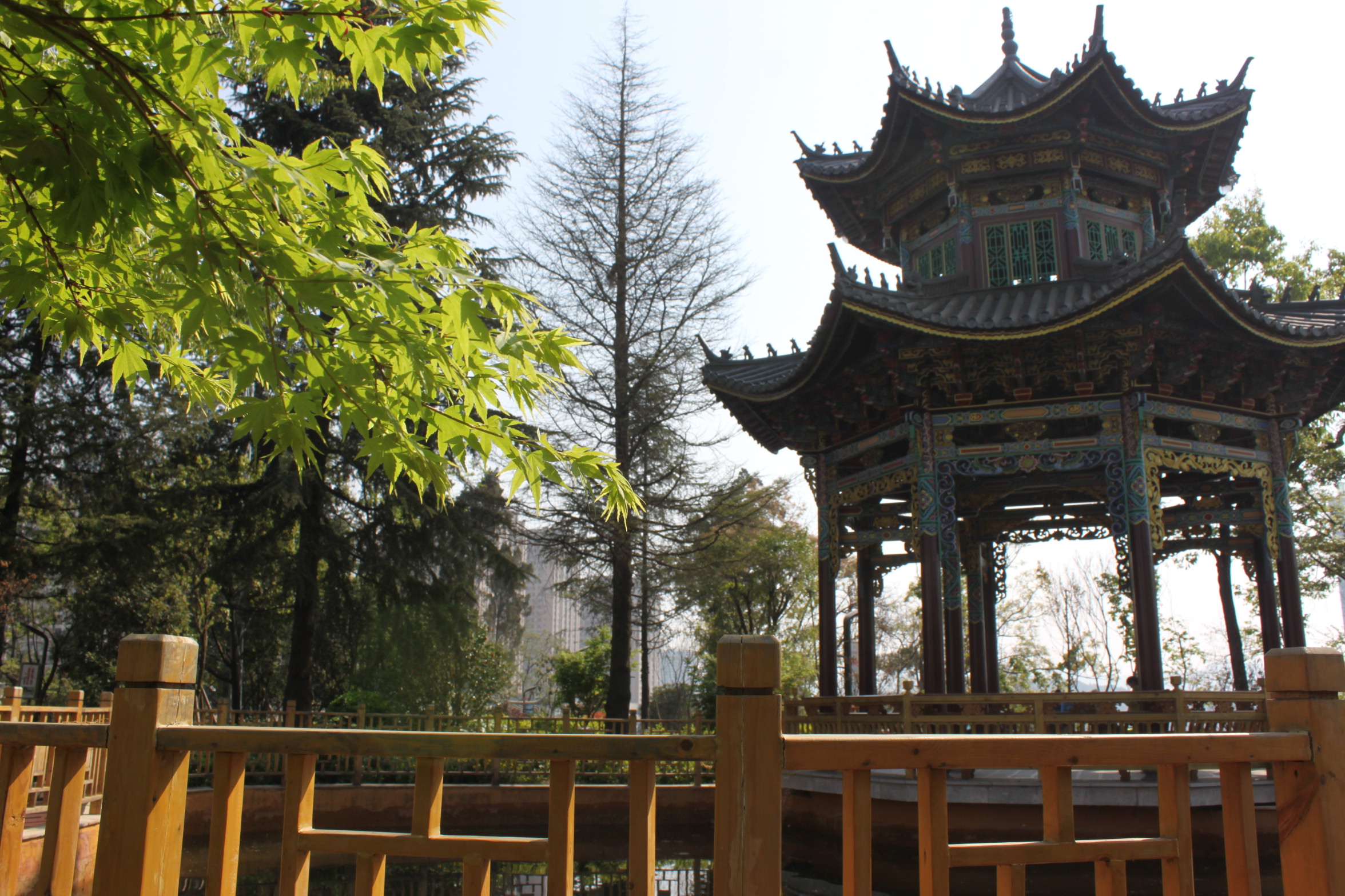 安宁市百花公园（楠园）景观提升改造工程