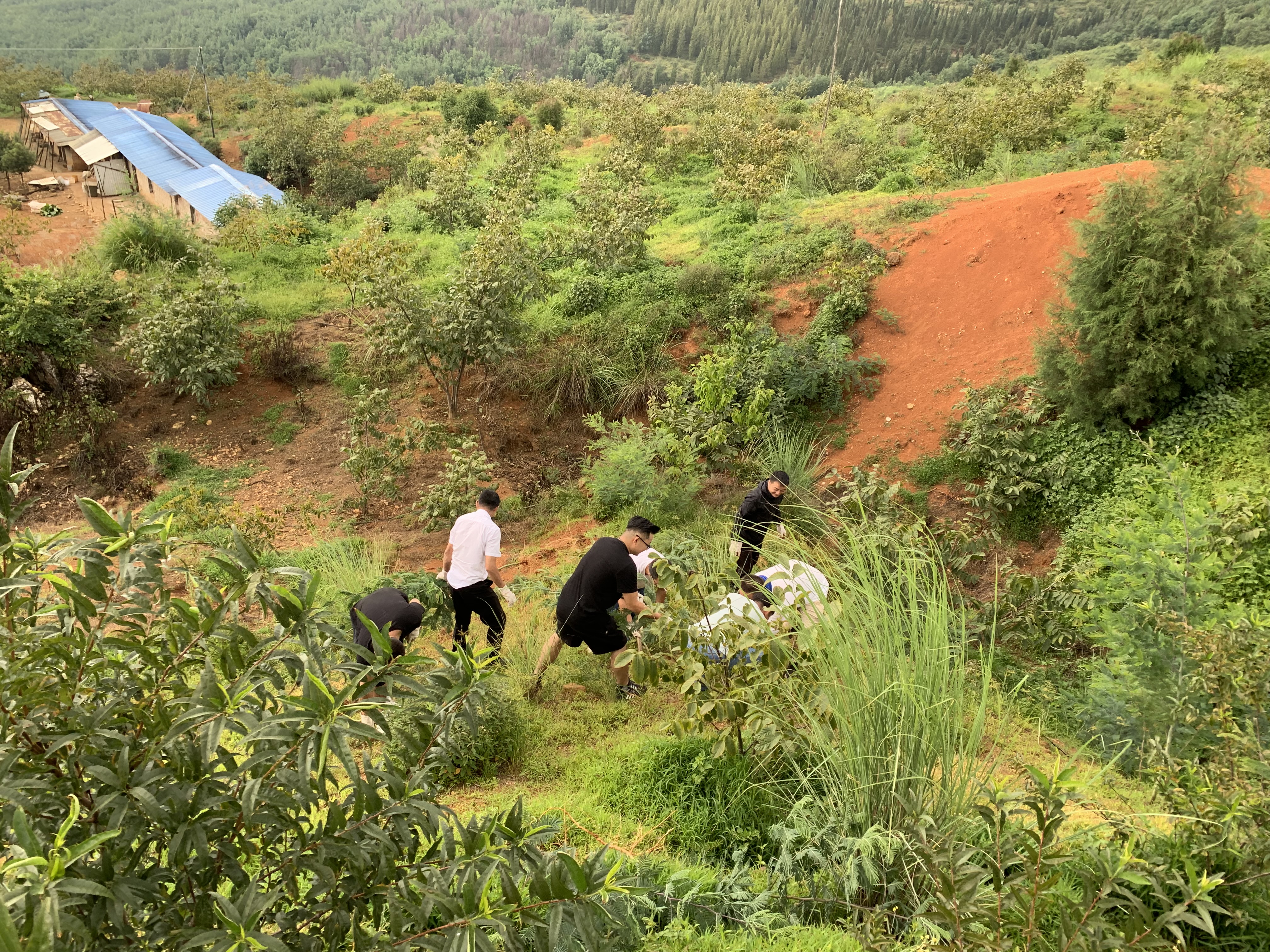 公司后备骨干会议——大石庄林地户外活动