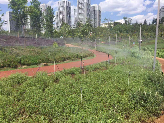 宁湖公园东岸提升改造工程项目