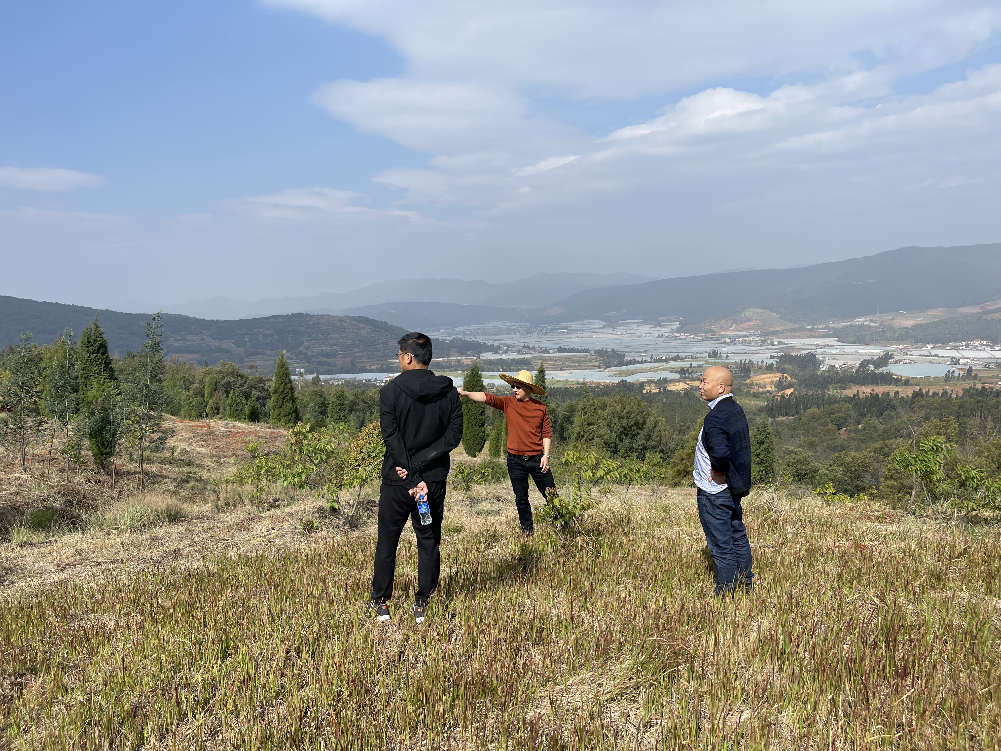 公司领导对大石庄林地检查指导工作