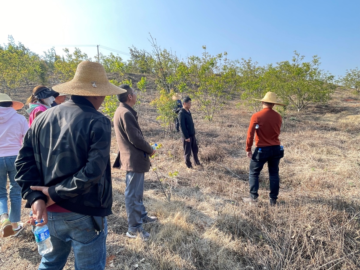 公司领导及各监理部负责人对大石庄林地进行勘察调研