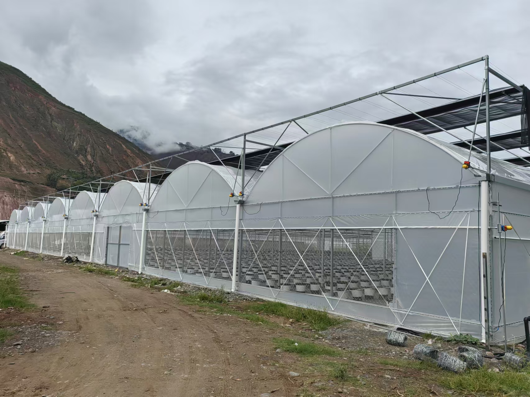 东川区现代农业产业园（孵化基地）二期项目